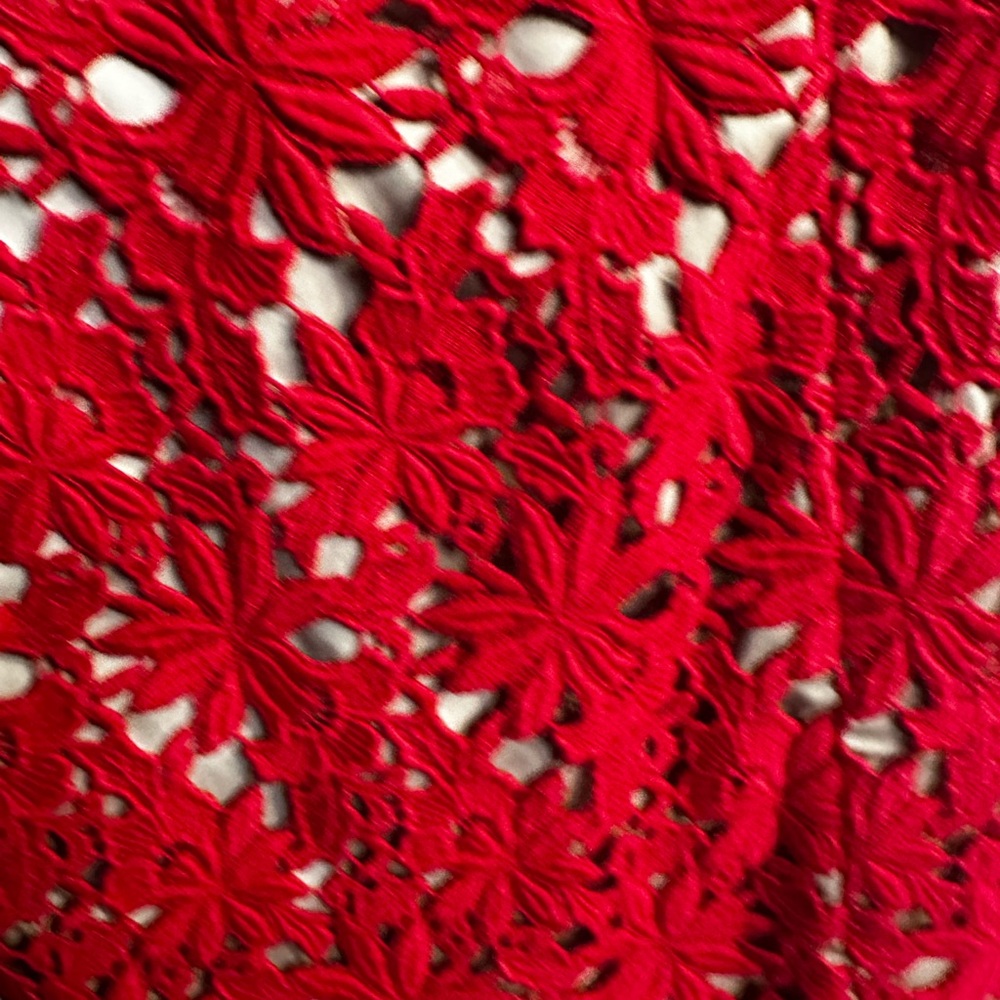 Talbots Red Floral Lace Lined Dress - Picture 4 of 8
